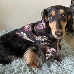 Sugar skull dog bandanna